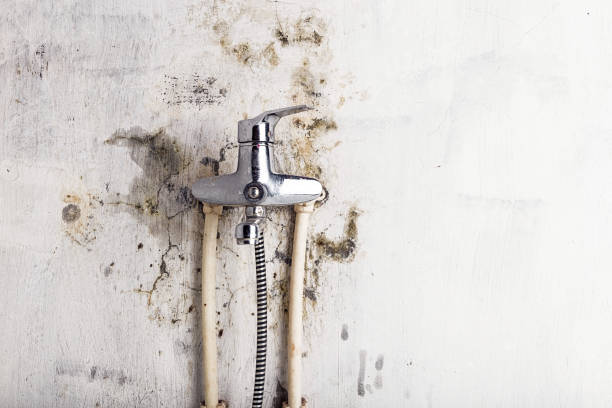 Water Damage Restoration in Le Center, MN