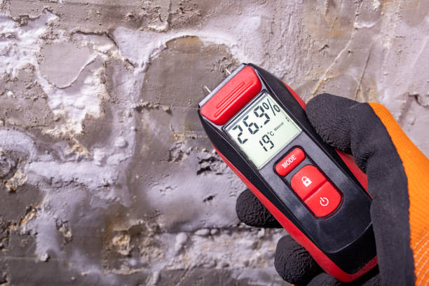 Best Mold Remediation  in Le Center, MN